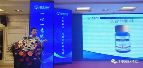 技術塑魂，服務立身 上海網絡技術服務的創新與實踐之路