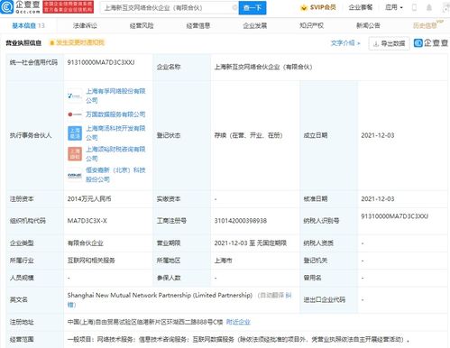 上海網絡技術服務 數字浪潮中的創新引擎與未來展望